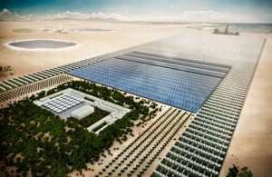 Sahara-Forest-Project-b